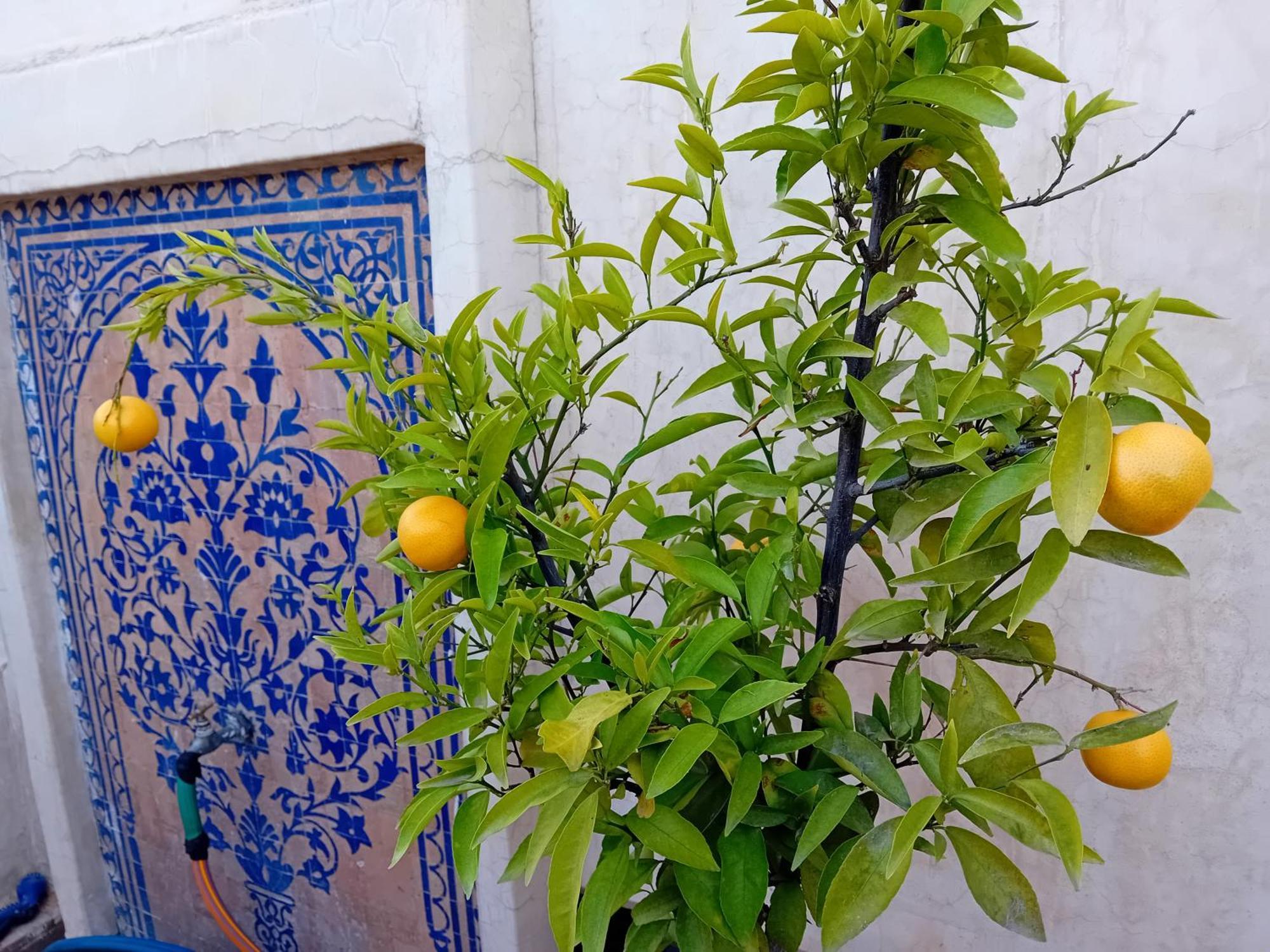 Dar Eva Hotel Fes Luaran gambar